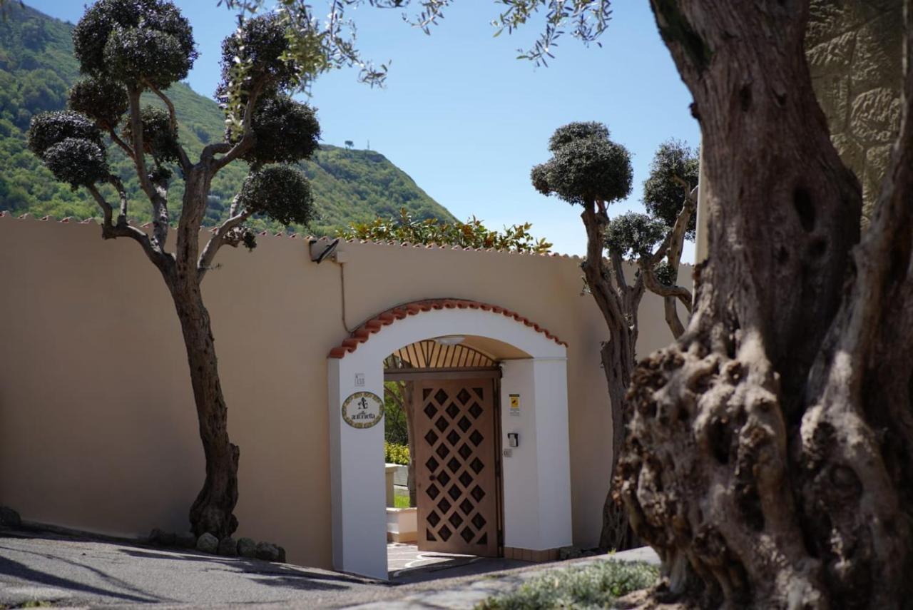 Villa Antonietta Ischia Kültér fotó