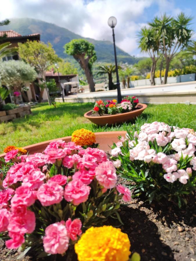 Villa Antonietta Ischia Kültér fotó