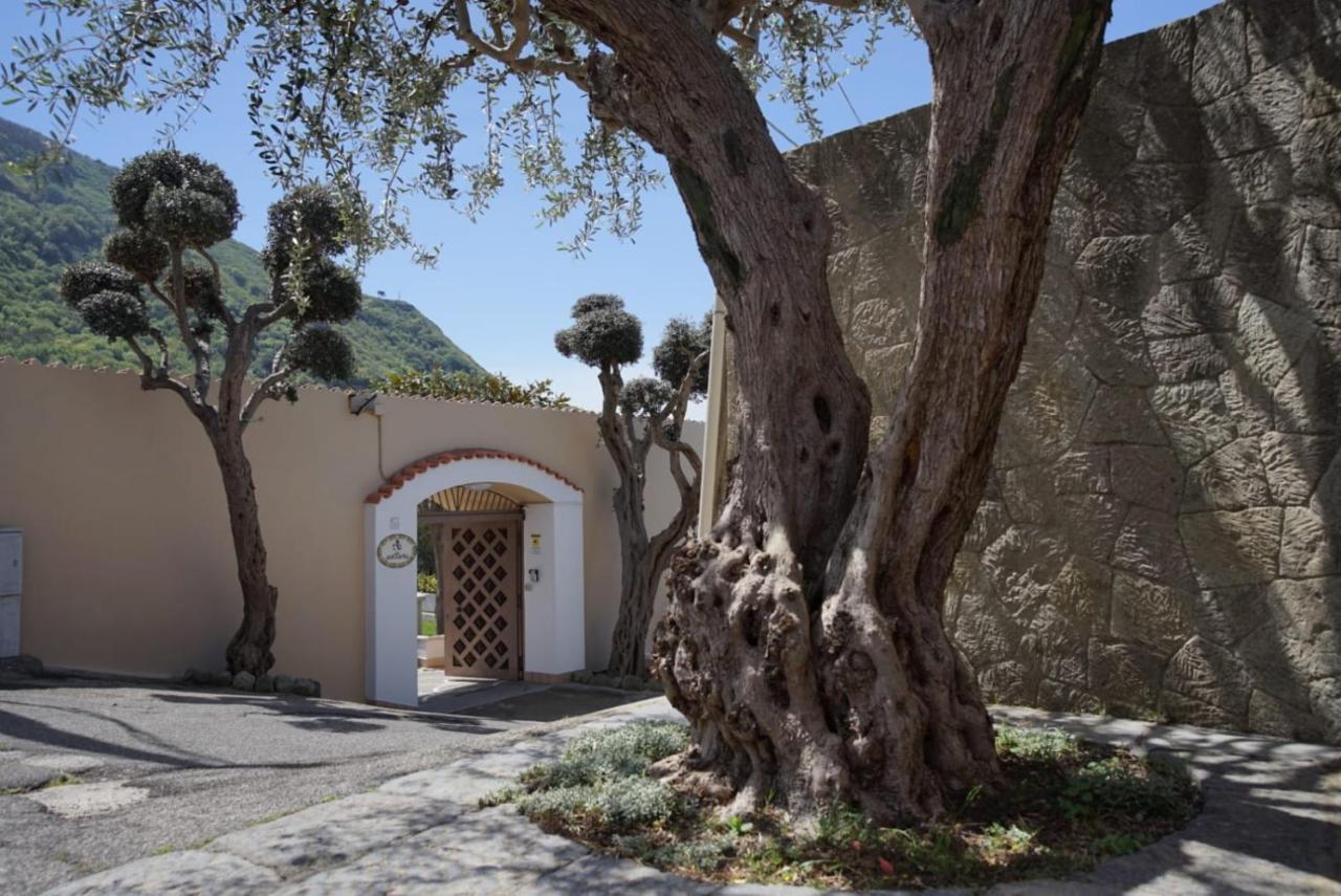 Villa Antonietta Ischia Kültér fotó