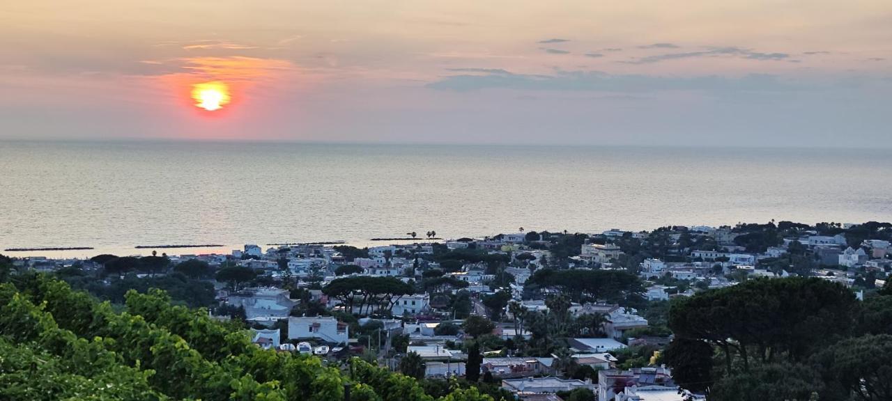 Villa Antonietta Ischia Kültér fotó
